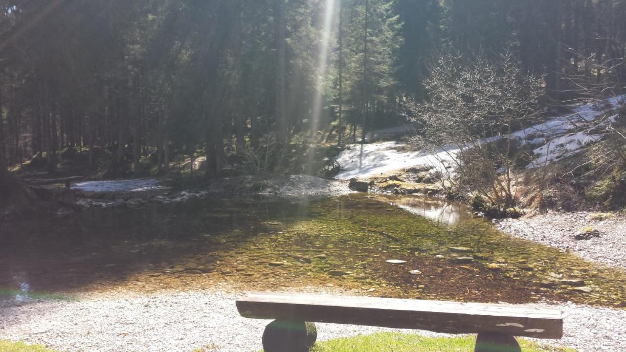 Ferienwohnung Il Caminetto Calalzo di Cadore Exterior foto