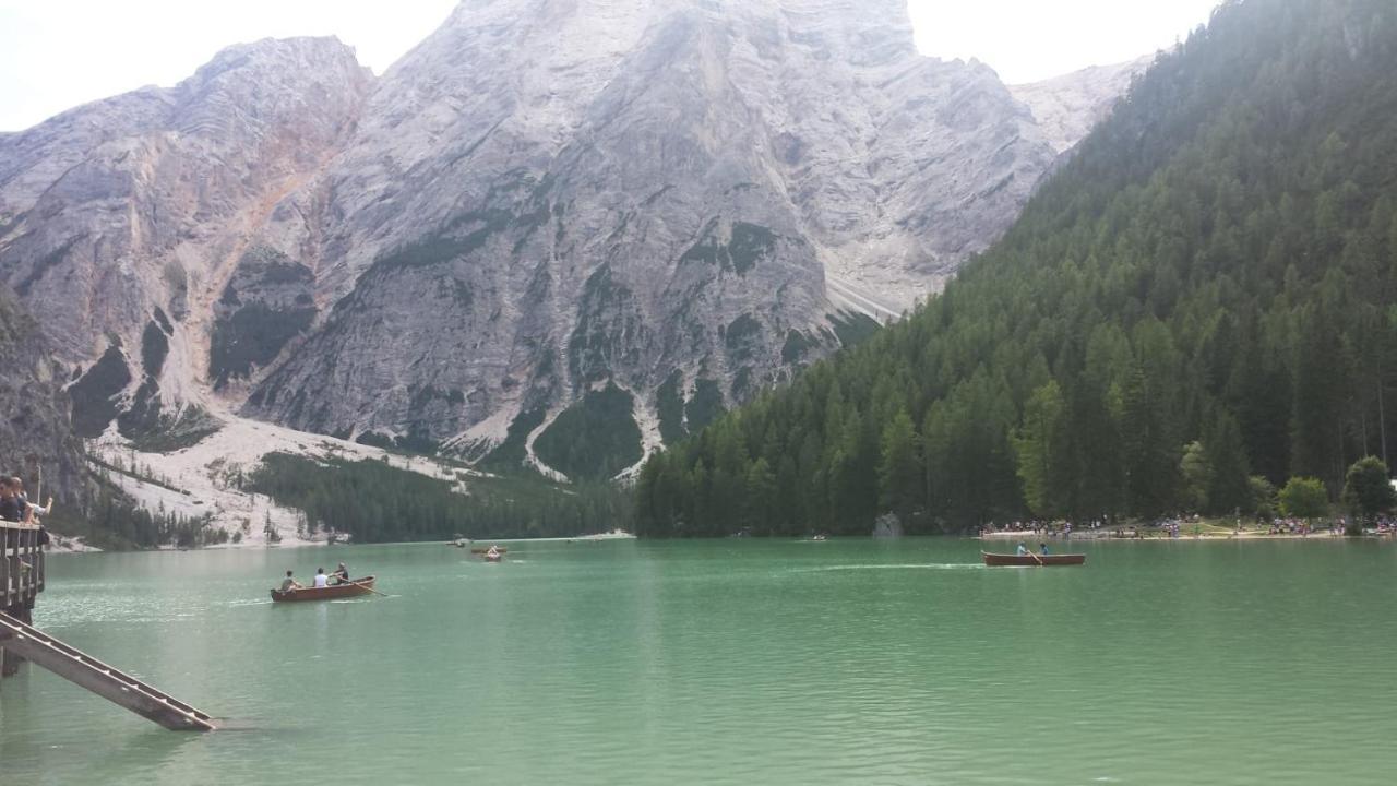 Ferienwohnung Il Caminetto Calalzo di Cadore Exterior foto